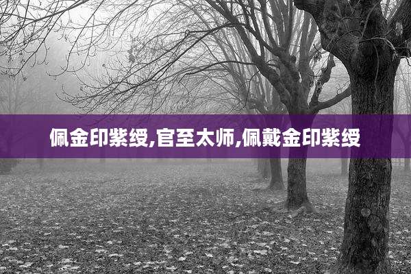佩金印紫绶,官至太师,佩戴金印紫绶