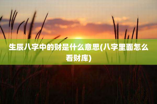 生辰八字中的财是什么意思(八字里面怎么看财库)
