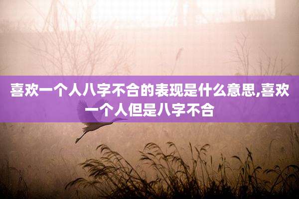 喜欢一个人八字不合的表现是什么意思,喜欢一个人但是八字不合