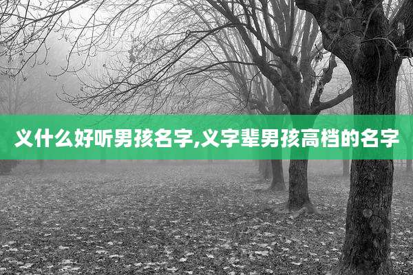 义什么好听男孩名字,义字辈男孩高档的名字