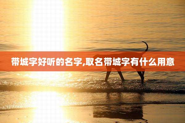 带城字好听的名字,取名带城字有什么用意