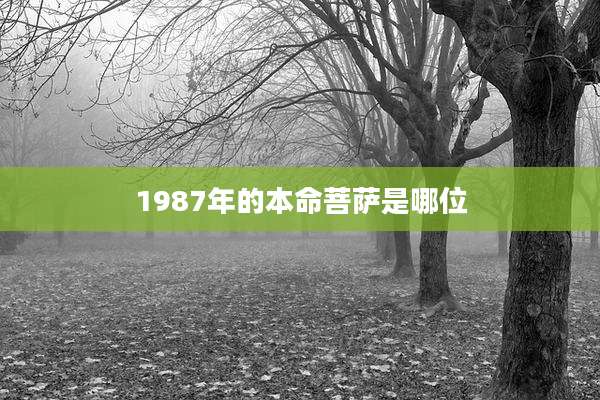 1987年的本命菩萨是哪位