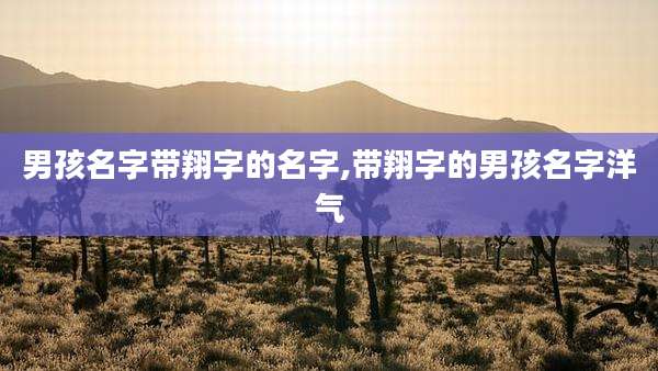 男孩名字带翔字的名字,带翔字的男孩名字洋气