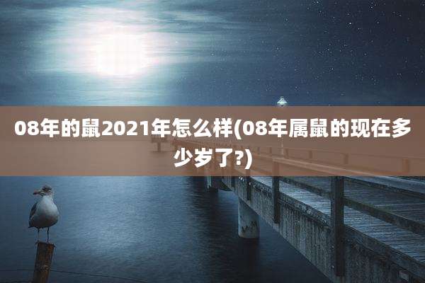 08年的鼠2021年怎么样(08年属鼠的现在多少岁了?)