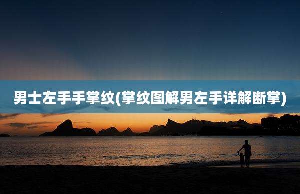 男士左手手掌纹(掌纹图解男左手详解断掌)