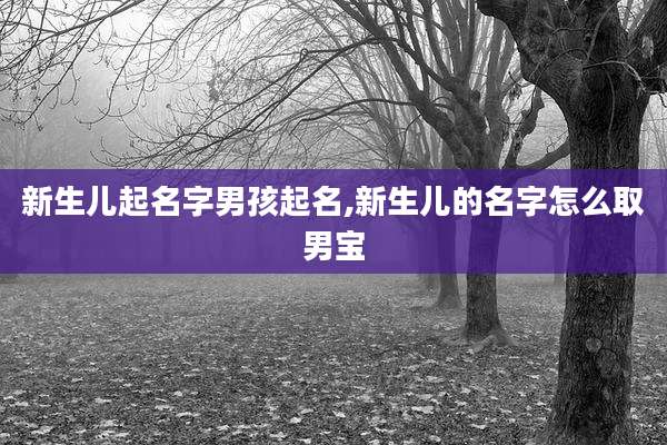 新生儿起名字男孩起名,新生儿的名字怎么取男宝