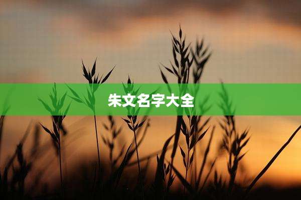 朱文名字大全