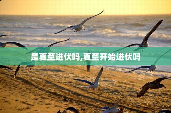 是夏至进伏吗,夏至开始进伏吗