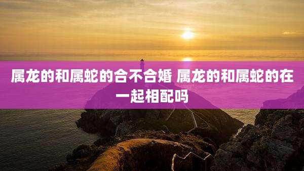 属龙的和属蛇的合不合婚 属龙的和属蛇的在一起相配吗