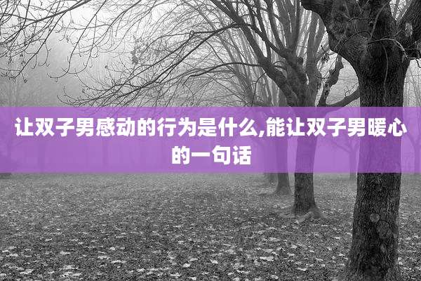 让双子男感动的行为是什么,能让双子男暖心的一句话