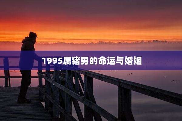 1995属猪男的命运与婚姻