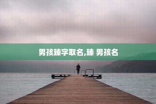 男孩臻字取名,臻 男孩名