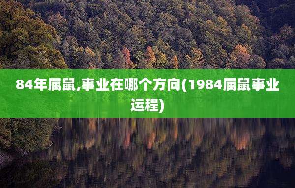 84年属鼠,事业在哪个方向(1984属鼠事业运程)