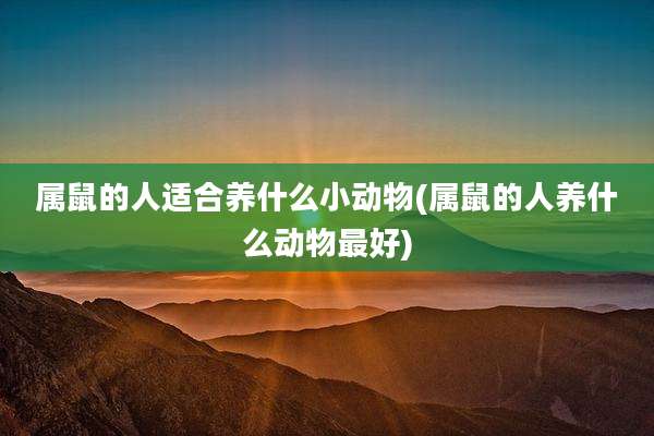 属鼠的人适合养什么小动物(属鼠的人养什么动物最好)