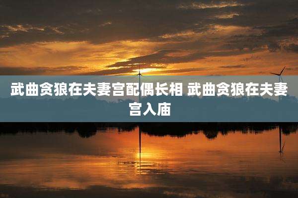 武曲贪狼在夫妻宫配偶长相 武曲贪狼在夫妻宫入庙