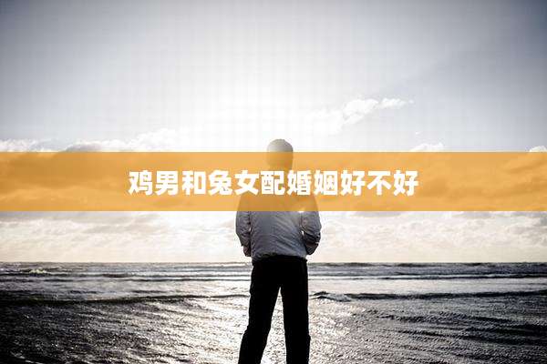 鸡男和兔女配婚姻好不好