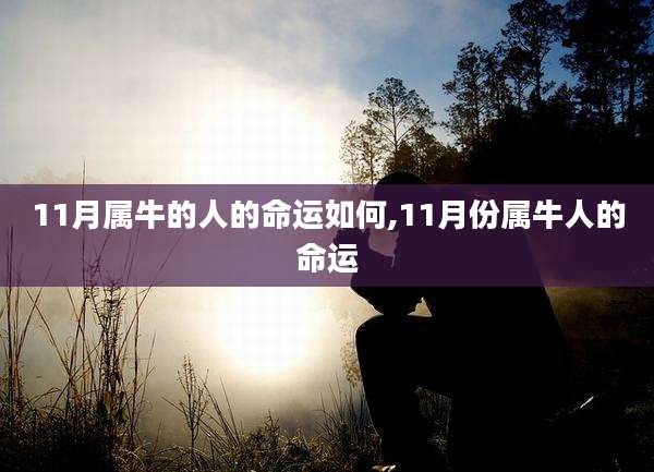 11月属牛的人的命运如何,11月份属牛人的命运
