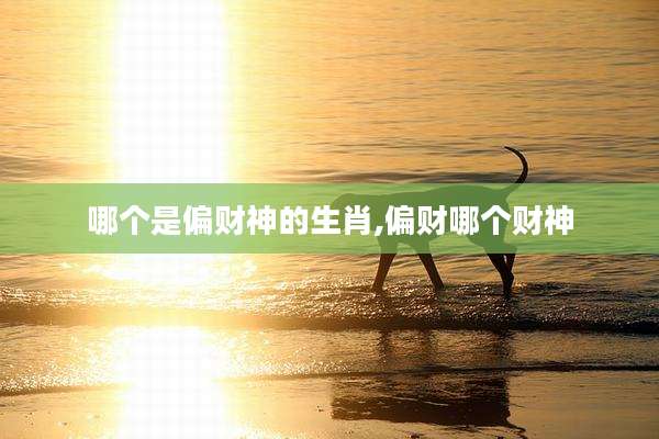 哪个是偏财神的生肖,偏财哪个财神