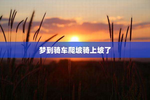 梦到骑车爬坡骑上坡了