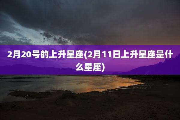 2月20号的上升星座(2月11日上升星座是什么星座)