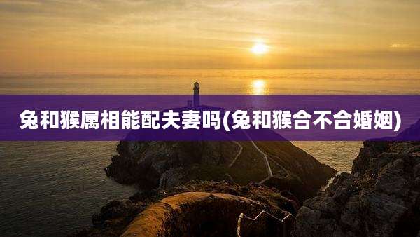 兔和猴属相能配夫妻吗(兔和猴合不合婚姻)
