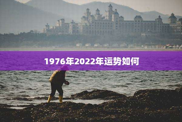 1976年2022年运势如何