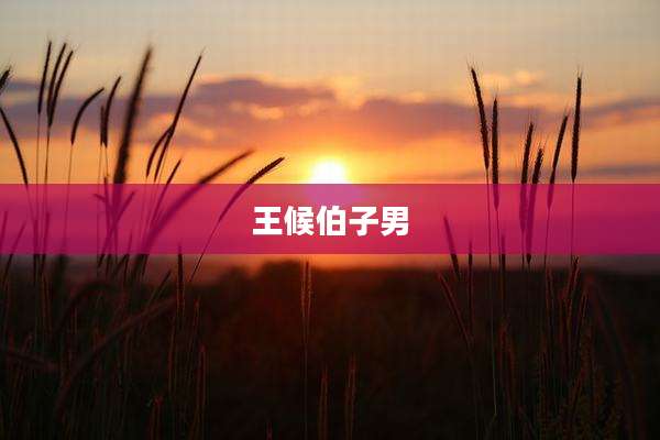 王候伯子男