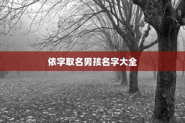 依字取名男孩名字大全