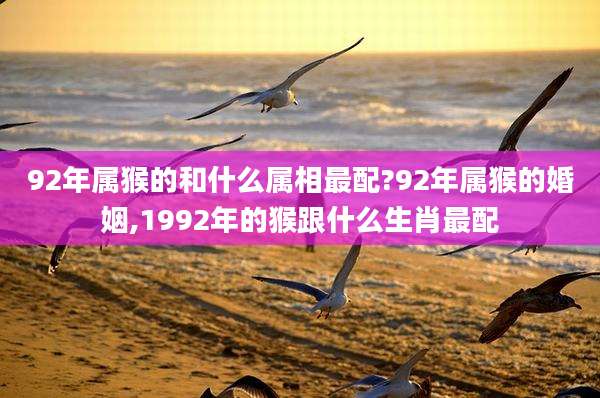 92年属猴的和什么属相最配?92年属猴的婚姻,1992年的猴跟什么生肖最配