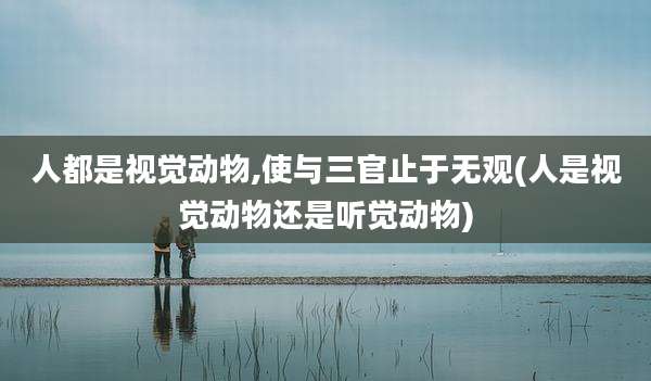 人都是视觉动物,使与三官止于无观(人是视觉动物还是听觉动物)