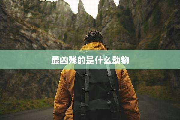 最凶残的是什么动物
