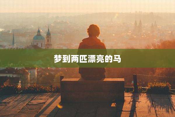 梦到两匹漂亮的马