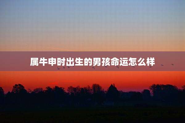 属牛申时出生的男孩命运怎么样