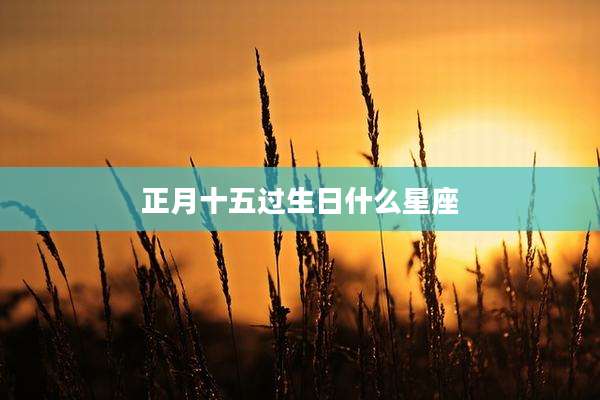 正月十五过生日什么星座