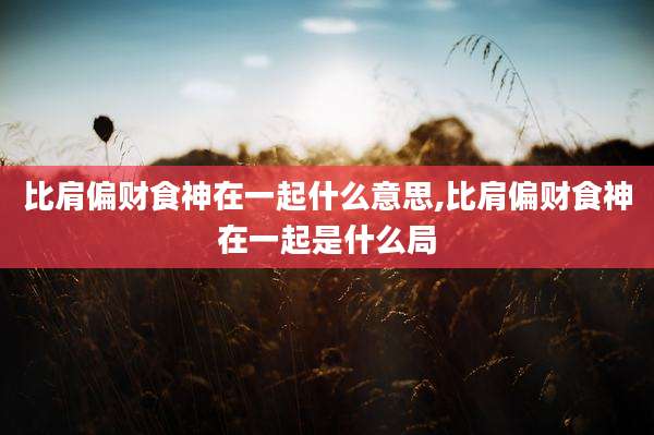 比肩偏财食神在一起什么意思,比肩偏财食神在一起是什么局
