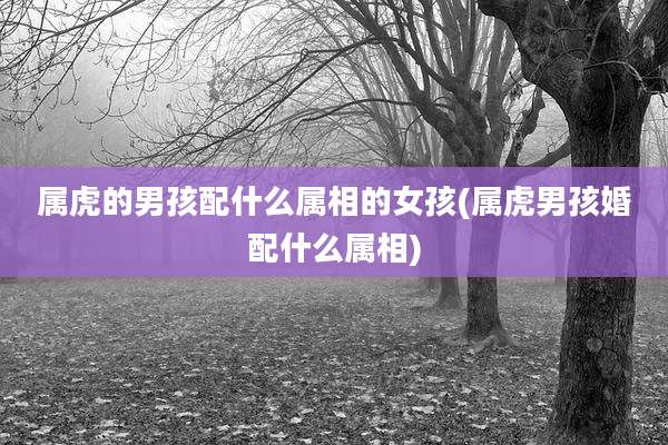 属虎的男孩配什么属相的女孩(属虎男孩婚配什么属相)
