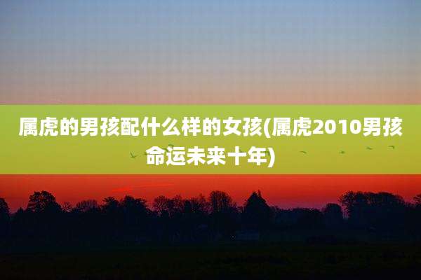 属虎的男孩配什么样的女孩(属虎2010男孩命运未来十年)