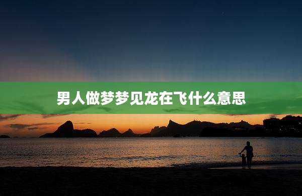 男人做梦梦见龙在飞什么意思