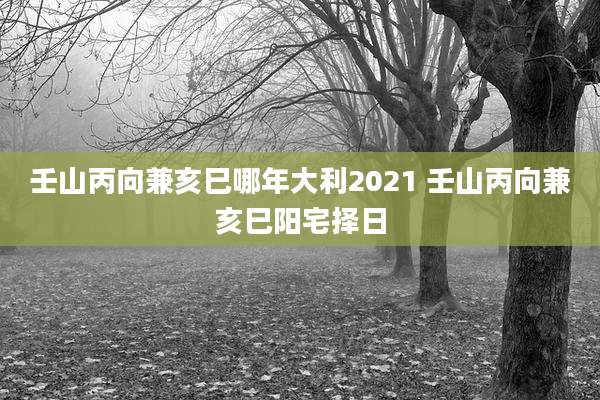 壬山丙向兼亥巳哪年大利2021 壬山丙向兼亥巳阳宅择日