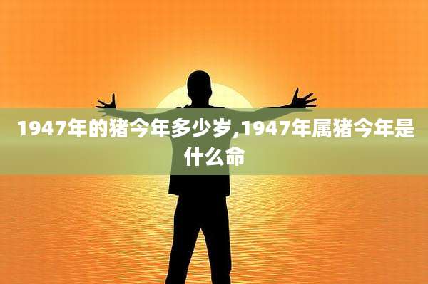 1947年的猪今年多少岁,1947年属猪今年是什么命