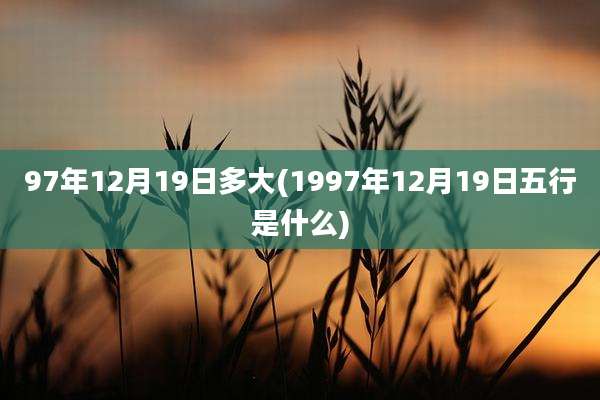 97年12月19日多大(1997年12月19日五行是什么)