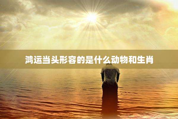 鸿运当头形容的是什么动物和生肖