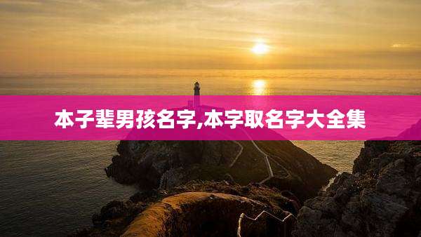 本子辈男孩名字,本字取名字大全集