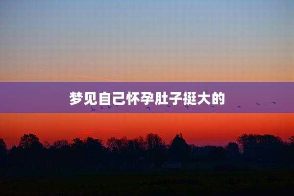 梦见自己怀孕肚子挺大的
