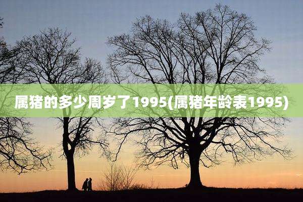 属猪的多少周岁了1995(属猪年龄表1995)