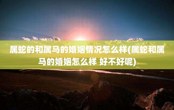 属蛇的和属马的婚姻情况怎么样(属蛇和属马的婚姻怎么样 好不好呢)