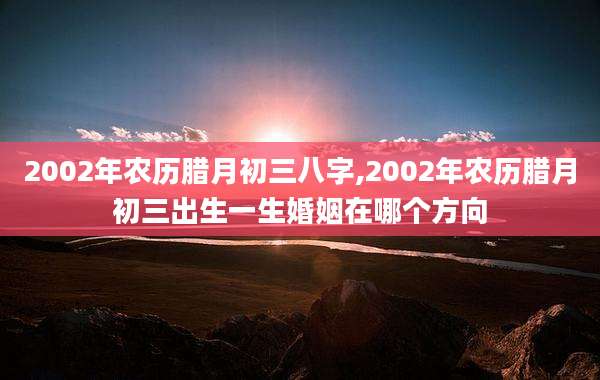 2002年农历腊月初三八字,2002年农历腊月初三出生一生婚姻在哪个方向
