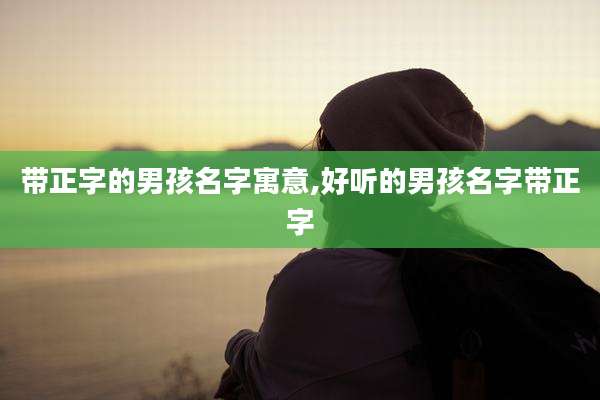 带正字的男孩名字寓意,好听的男孩名字带正字