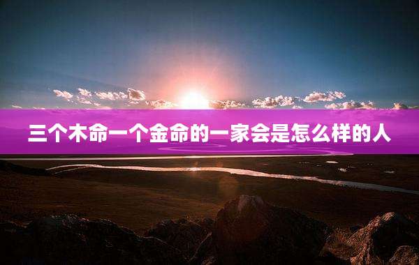 三个木命一个金命的一家会是怎么样的人