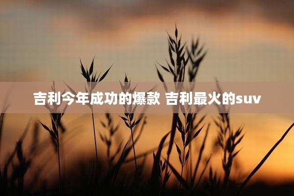 吉利今年成功的爆款 吉利最火的suv